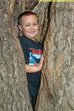 Noah in tree crevice